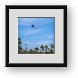 Buy Framed Print