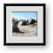 Buy Framed Print