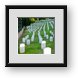 Buy Framed Print