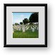 Buy Framed Print