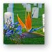 Bird of Paradise at the Fort Rosecrans National Cemetery Metal Print