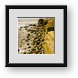 Buy Framed Print