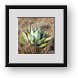 Buy Framed Print
