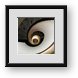 Buy Framed Print
