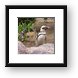 Buy Framed Print