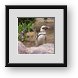 Buy Framed Print