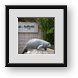 Buy Framed Print