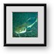 Buy Framed Print