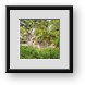 Buy Framed Print