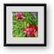 Buy Framed Print