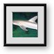 Buy Framed Print