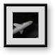 Buy Framed Print
