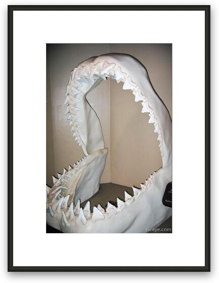 These shark jaws were five feet tall! Framed Fine Art Print