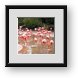Buy Framed Print
