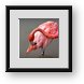 Buy Framed Print