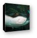 Stingray smiling for the camera Canvas Print