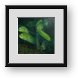 Buy Framed Print