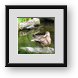 Buy Framed Print