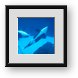 Buy Framed Print