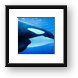 Killer Whale (Orca) Framed Print