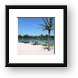 The beach and palm tree Framed Print