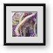 Buy Framed Print