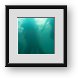 Buy Framed Print