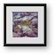 Buy Framed Print