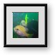 Buy Framed Print