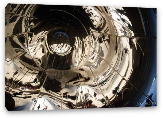 Under side of the Bean Fine Art Canvas Print