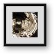 Buy Framed Print
