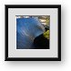Buy Framed Print