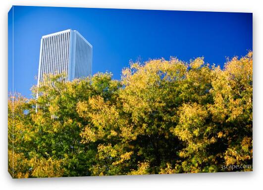 Beginning of fall colors in Chicago Fine Art Canvas Print