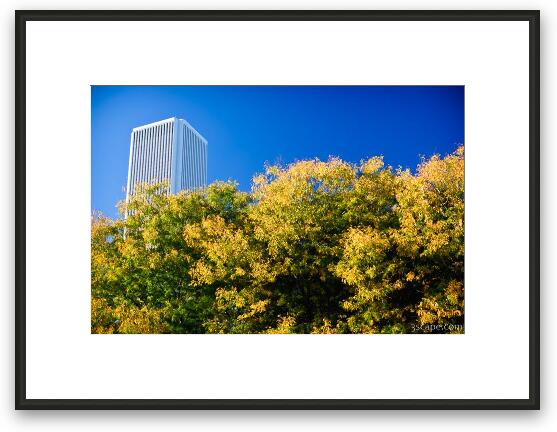 Beginning of fall colors in Chicago Framed Fine Art Print