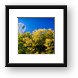 Beginning of fall colors in Chicago Framed Print
