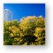 Beginning of fall colors in Chicago Metal Print
