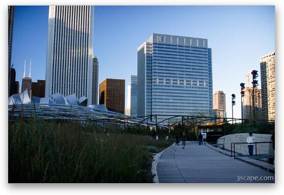 Lurie Garden, and pavillion in the background Fine Art Metal Print