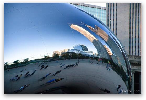 Reflections in the Bean Fine Art Metal Print