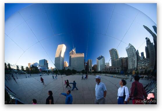 Reflections in the Bean Fine Art Metal Print