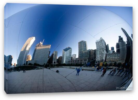 Reflections in the Bean Fine Art Canvas Print