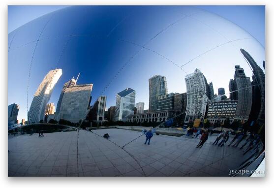 Reflections in the Bean Fine Art Metal Print