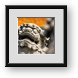Buy Framed Print