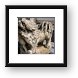 Dog Framed Print