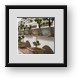 Buy Framed Print
