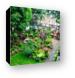 The gardens at River View Lodge Canvas Print