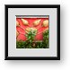 Buy Framed Print