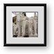 Buy Framed Print