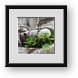 Buy Framed Print