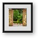 Buy Framed Print