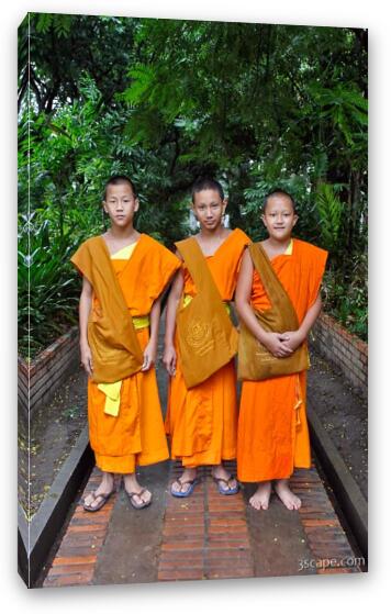 Three young Buddhist monks at a monastery in Chiang Mai, Thailand Fine Art Canvas Print